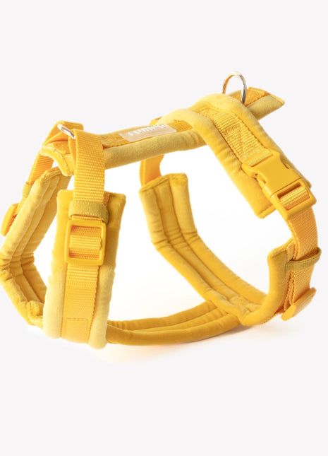 Yellow - Velvet Dog Harness