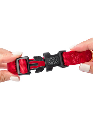 City Collar - Iconic Red - Pup List