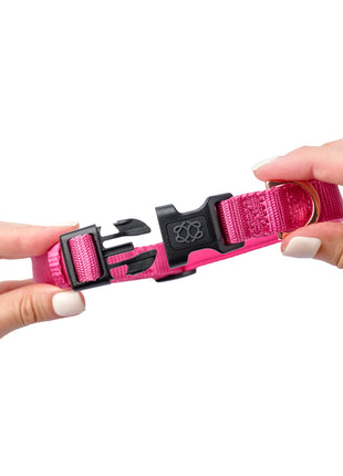 City Collar - Park Ave Pink - Pup List