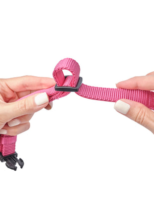 City Collar - Park Ave Pink - Pup List