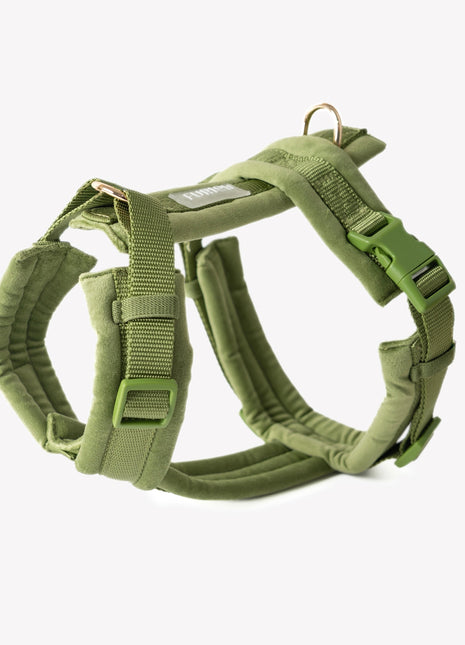 Green - Velvet Dog Harness