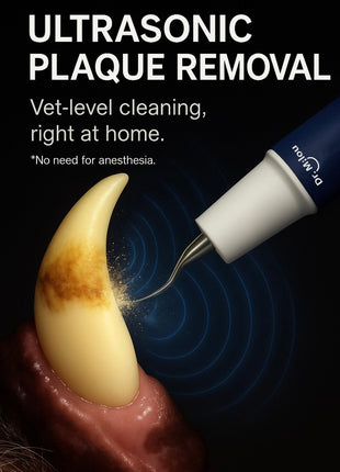 Home Pet Oral Care (Electric Toothbrush / Ultrasonic Dental Scaler / Full Set) by Dr. Milou