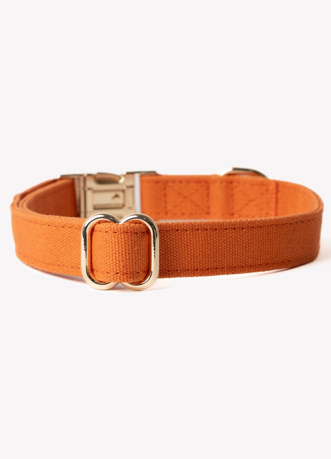 'Terracotta' - Canvas Dog Collar
