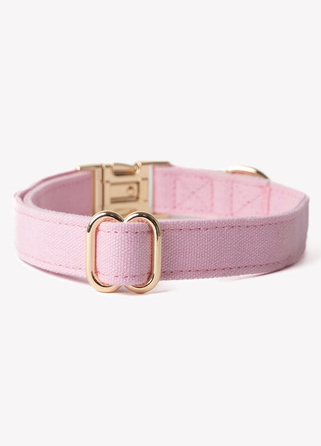 'Pink' - Canvas Dog Collar