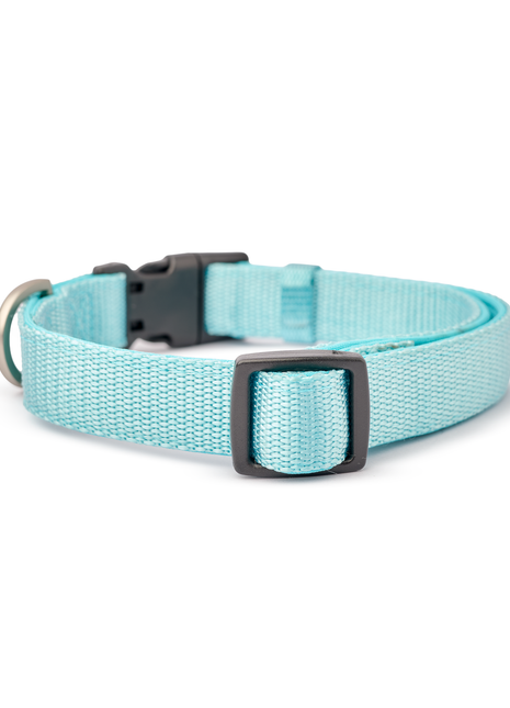 City Collar - Fifth Avenue - Pup List