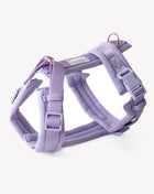 Lavender - Comfort Dog Harness