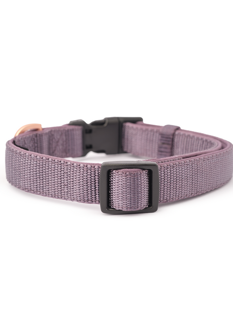 City Collar - Lilac Gray - Pup List