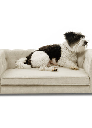 Modern Elegant Rectangle Pet Bed, Durable Elevated Dog Sofa, Beige Foam 40'*23'*14'