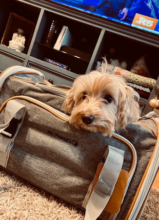 Mr. Peanut's Platinum Series Expandable Pet Carrier