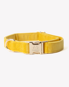 'Yellow' - Velvet Dog Collar