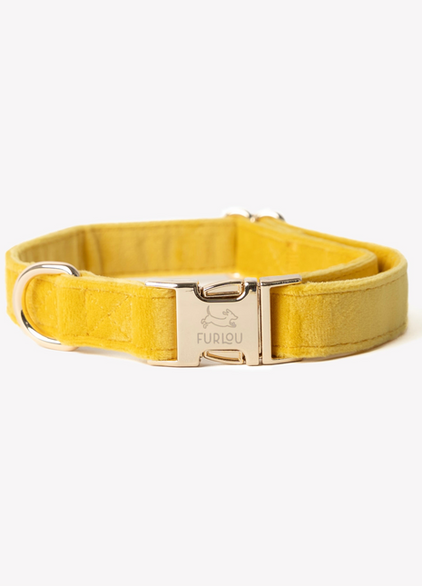 'Yellow' - Velvet Dog Collar