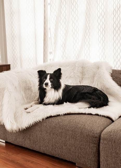 PupProtector™ Waterproof Throw Blanket - Polar White