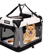 Jespet & GOOPAWS 3-Door Collapsible Soft-Sided Dog Crate, Light Grey, Medium 30''