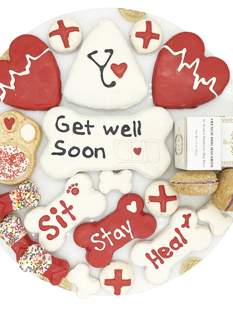 Get Well Soon Themed Dog Treats Gift Box