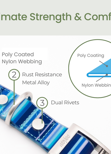 Waterproof Dog Collars – Washable Dog Collar, Stink-Proof & Durable