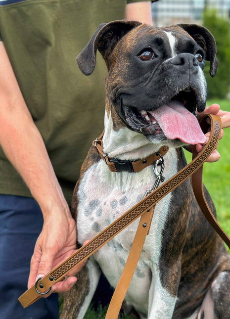 Celtic Sport Earth Brown Leather Dog Leash