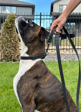 Celtic Sport Midnight Black Leather Dog Leash