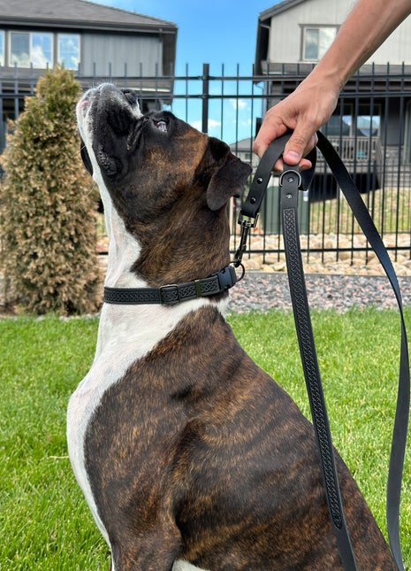 Celtic Sport Midnight Black Leather Dog Leash