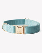'Blue' - Velvet Dog Collar