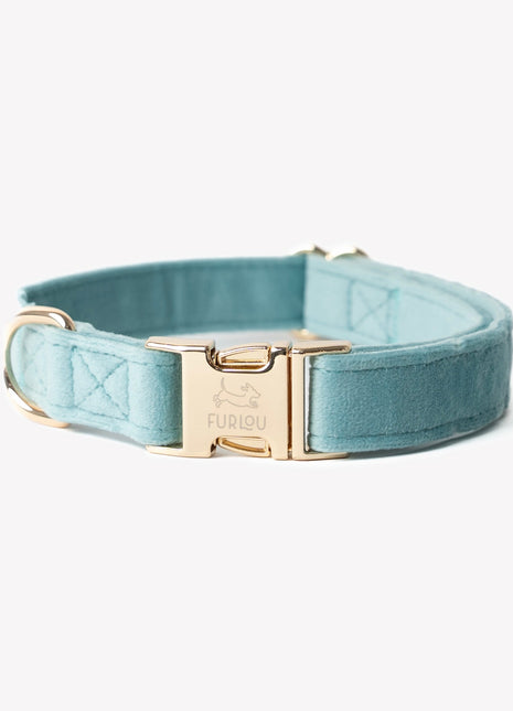 'Blue' - Velvet Dog Collar