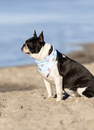 USA Dog Bandana