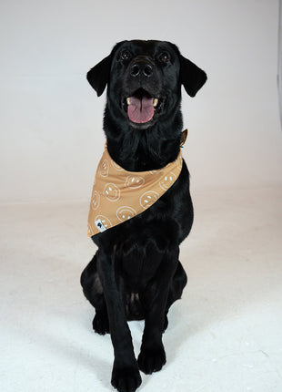 Smiles Dog Bandana