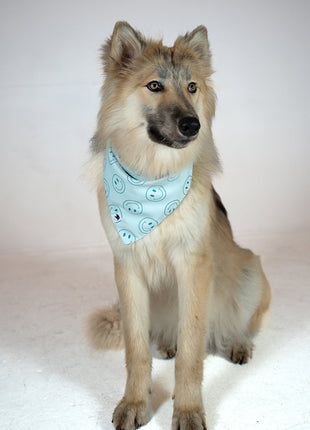 Smiles Dog Bandana