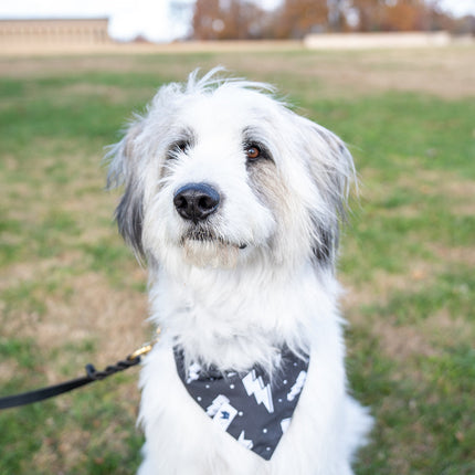 Blue Moon & Lightning Dog Bandana