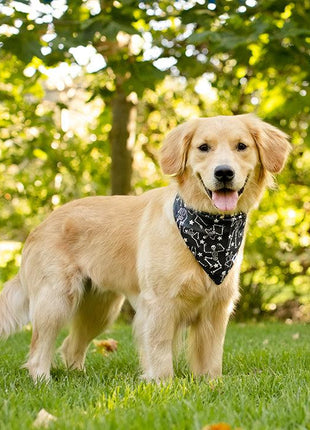 Skeleton Dog Bandana