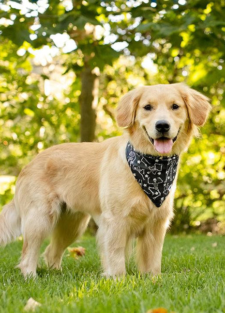 Skeleton Dog Bandana