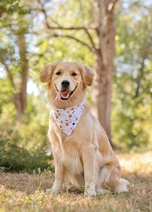 Trick Or Treat Dog Bandana