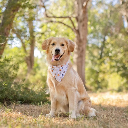 Trick Or Treat Dog Bandana