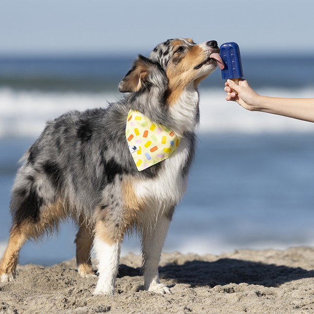 Popsicle Dog Bandana