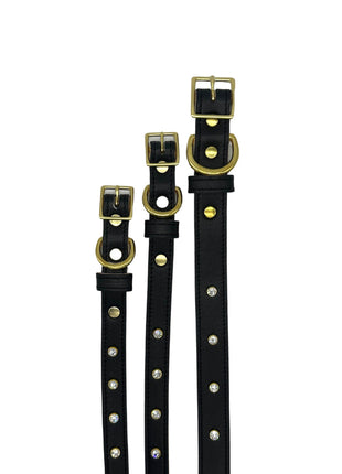 Plain Leather Dog Collar