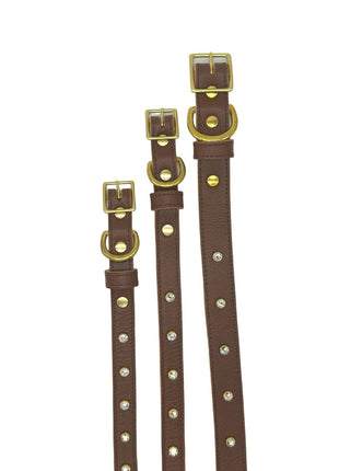 Plain Leather Dog Collar