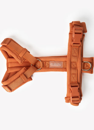 Terracotta - Comfort Dog Harness