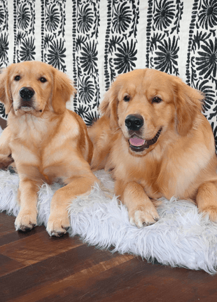 PupRug by Paw.com™ Faux Fur Orthopedic Dog Bed - Rectangle Grey