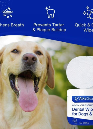 Dental Wipes