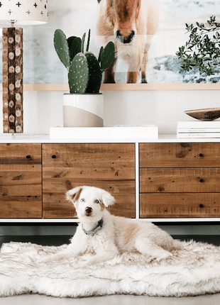 PupRug by Paw.com® Faux Fur Orthopedic Dog Bed - Curve White with Brown Accents