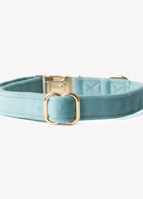 'Blue' - Velvet Dog Collar