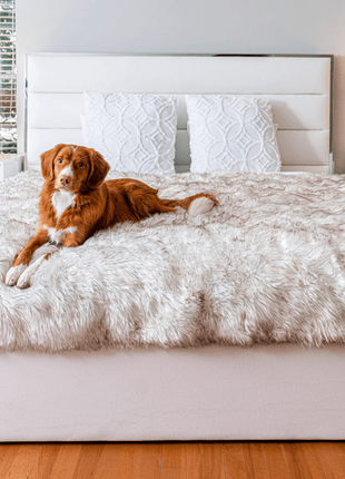 PupProtector™ Waterproof Throw Blanket - White with Brown Accents
