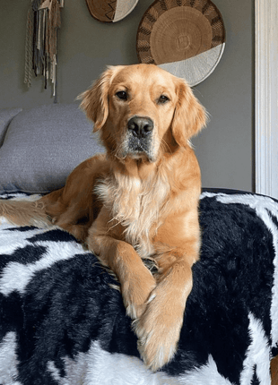 PupProtector™ Waterproof Throw Blanket - Black Faux Cowhide