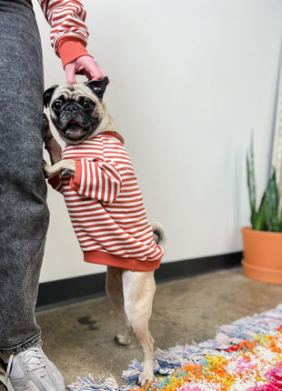 Poppy Pullover