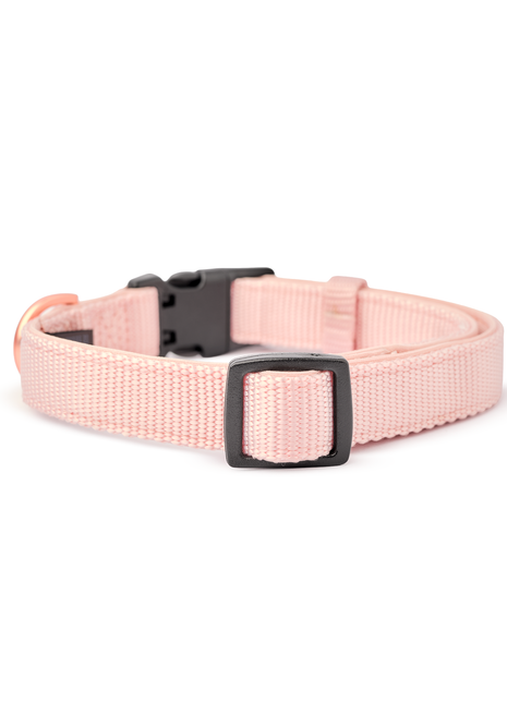 City Collar - Blush - Pup List