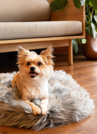 PupRug by Paw.com® Faux Fur Orthopedic Dog Bed - Curve Charcoal Grey