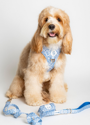 Santorini Adjustable Harness - Pup List