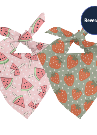 Watermelon & Strawberry Dog Bandana