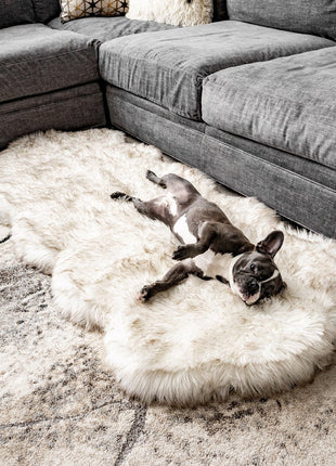 PupRug® Runner Faux Fur Memory Foam Dog Bed - Curve White with Brown Accents