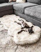 PupRug® Runner Faux Fur Memory Foam Dog Bed - Curve White with Brown Accents