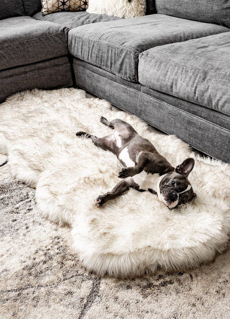 PupRug® Runner Faux Fur Memory Foam Dog Bed - Curve White with Brown Accents